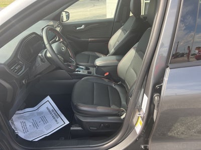 2025 Ford Escape ST-Line